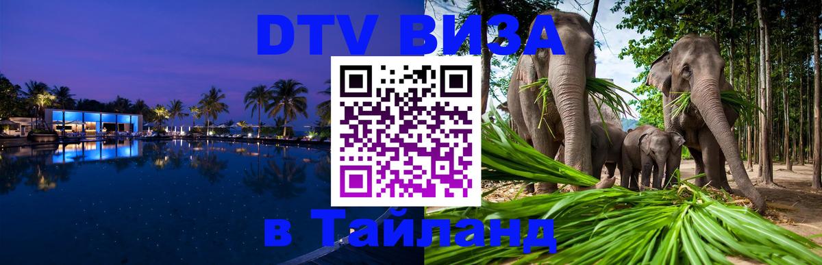 Цены на DTV визу в Таиланд — пакеты услуг, достаточно даже паспорта - 20.11.2025 